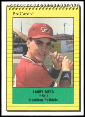4046 Larry Meza